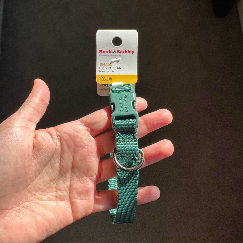 Boots & Barkley Basic Dog Collar