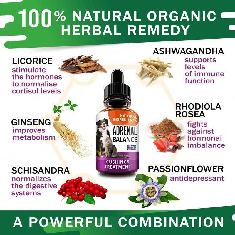 FurFinds Adrenal Balance for Dogs and Cats Cushings Treatment for Pets