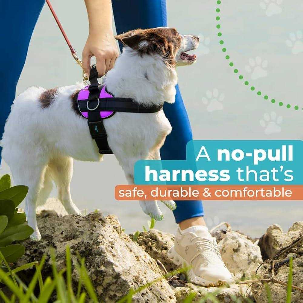 Joyride Harness No Pull Easy On-Off Dog Harness