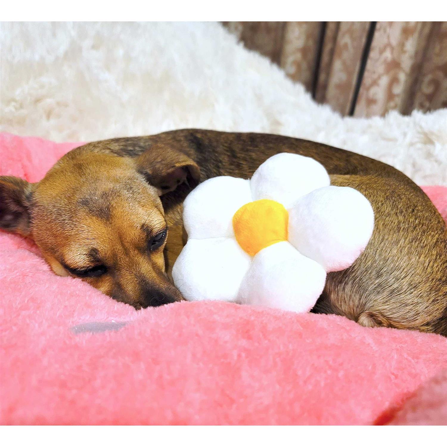 TONBO Soft Plush Small Cute and Cozy Food Dog Cat Bed, Washer and Dryer Friendly