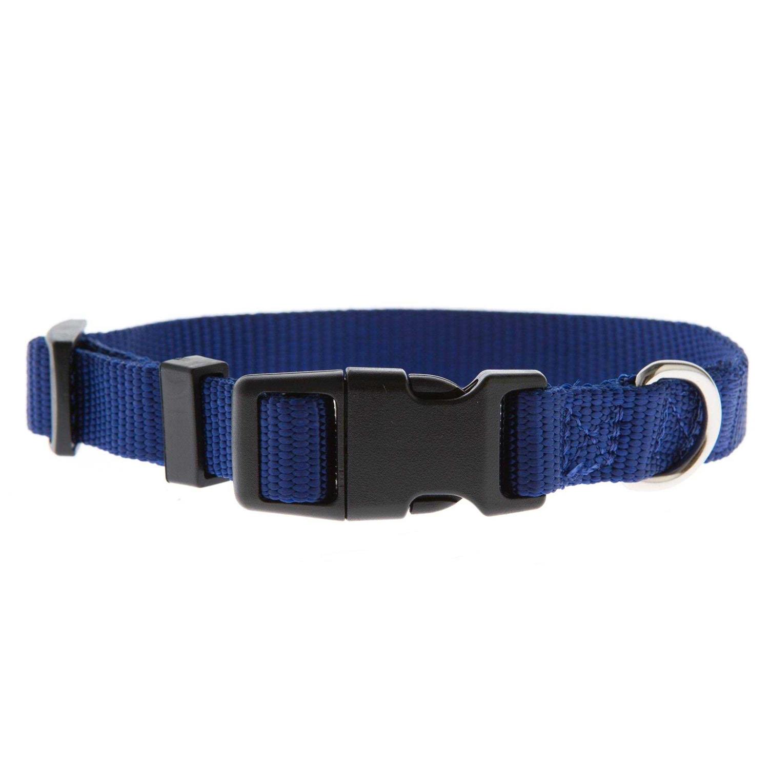 Top Paw Signature Dog Collar