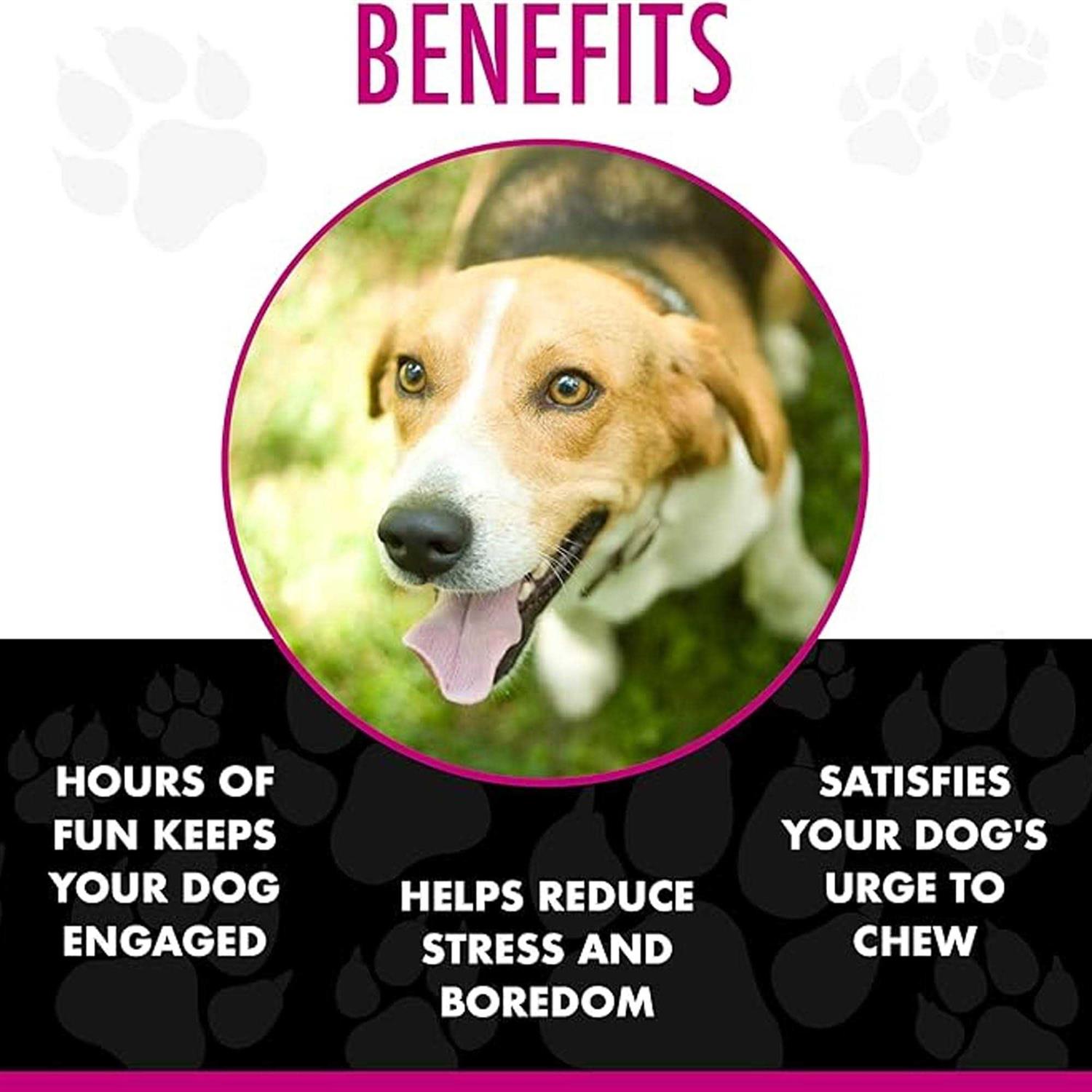 Chase ‘n Chomp Amazing Squeaker Ball Pets