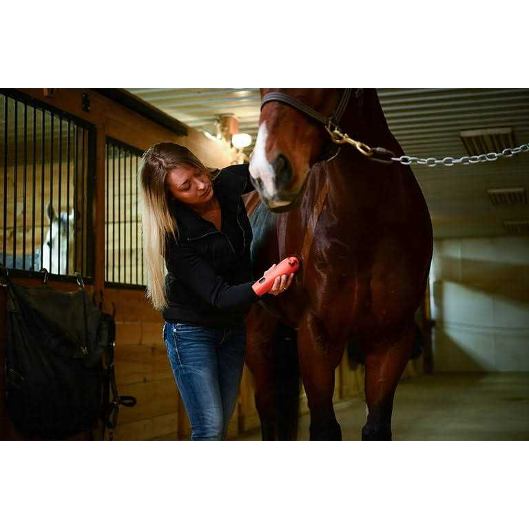 Wahl KM 2 Speed Cordless Clipper