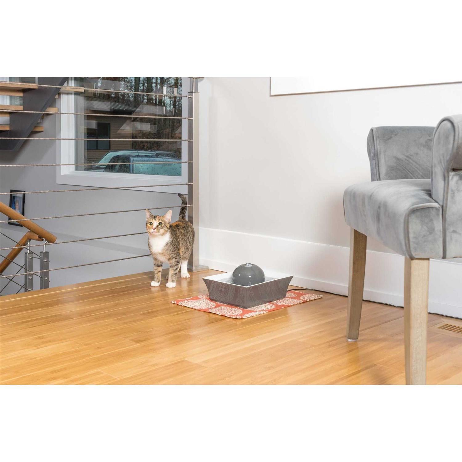 PetSafe Drinkwell Seascape Pet Fountain