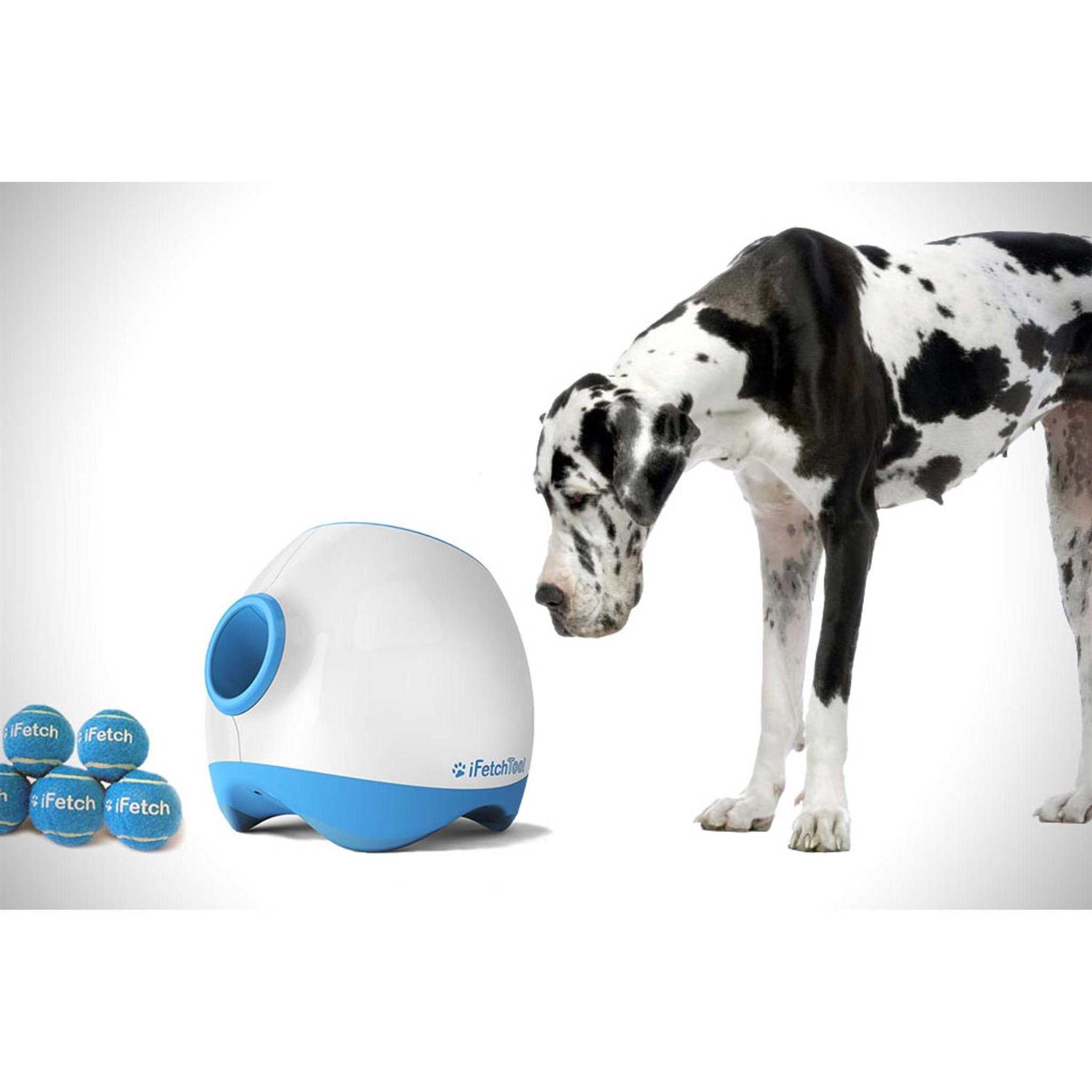 iFetch Too Interactive Ball Launcher Dog Toy