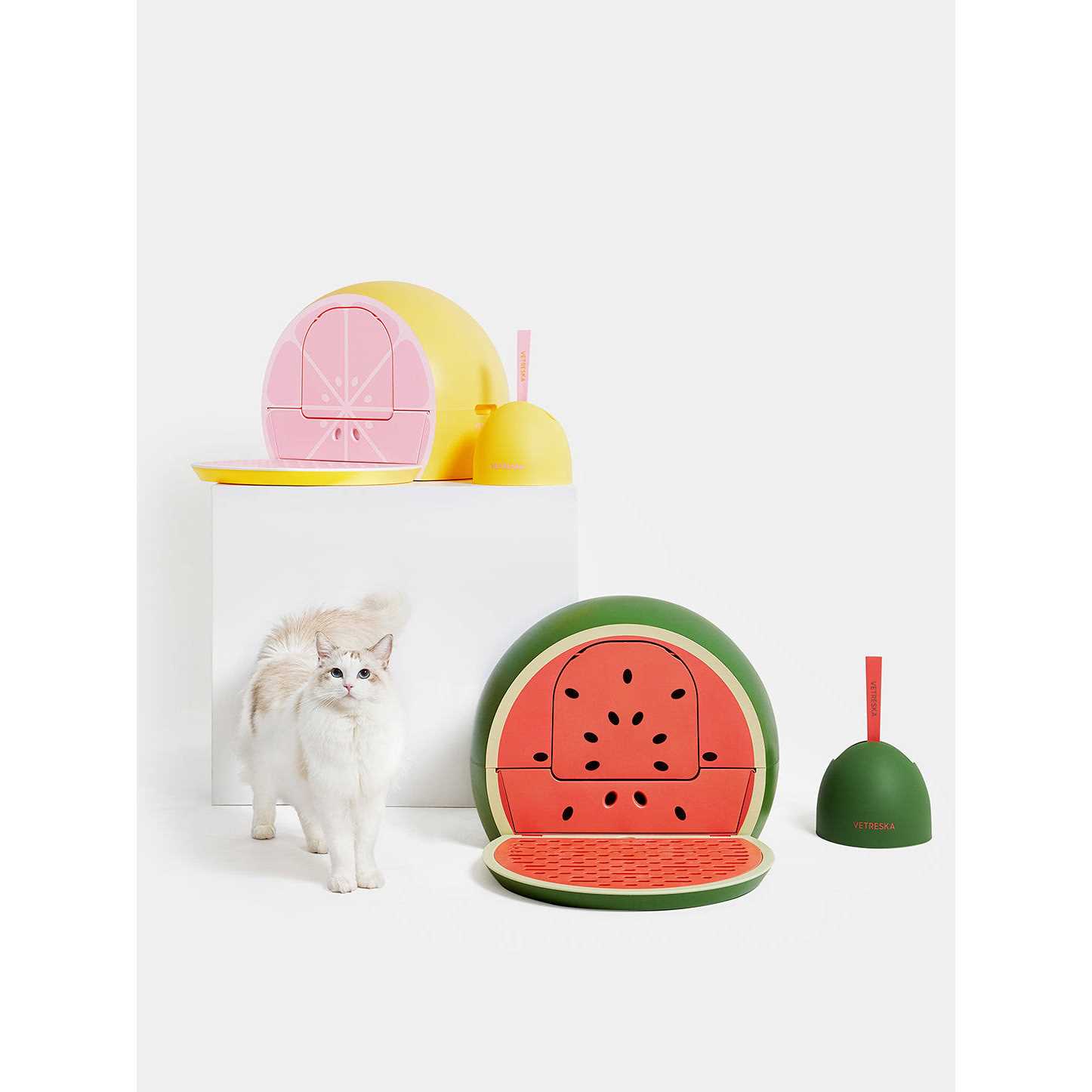 Vetreska Kitty Kove