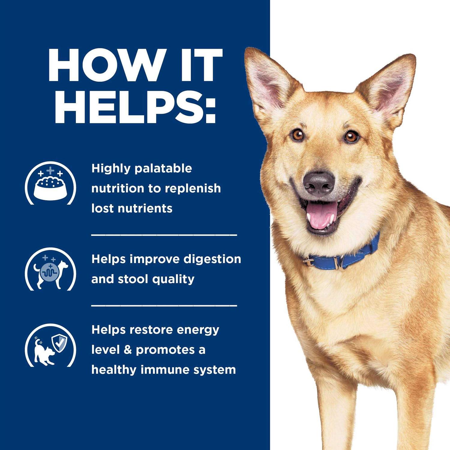 Prescription Diet i/d Digestive Care Cat Canned Food