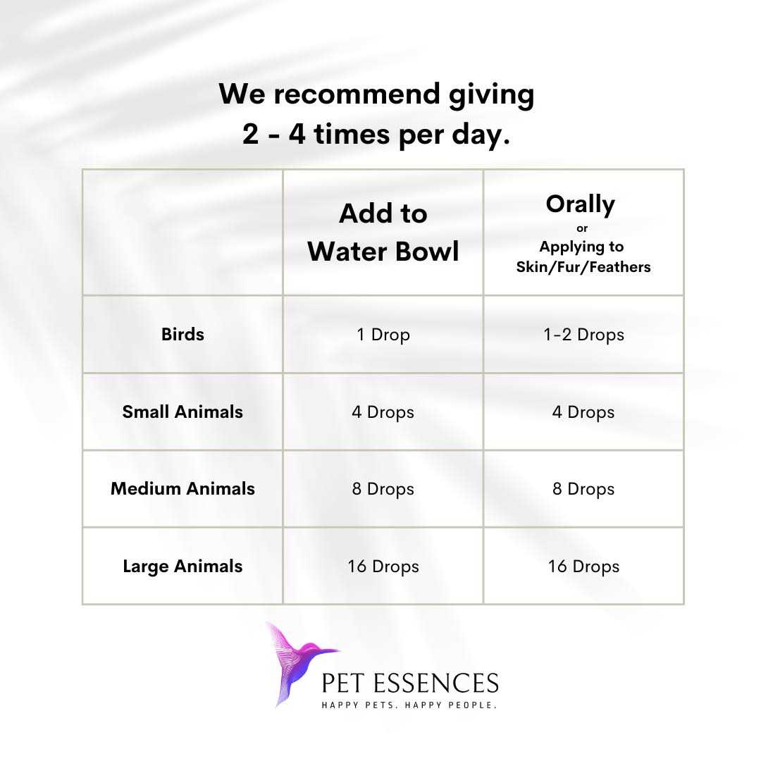 Pet Essences Seizures