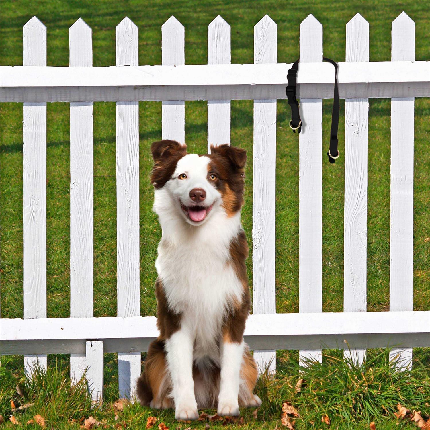 PetSafe Keepsafe Break-Away Dog Collar