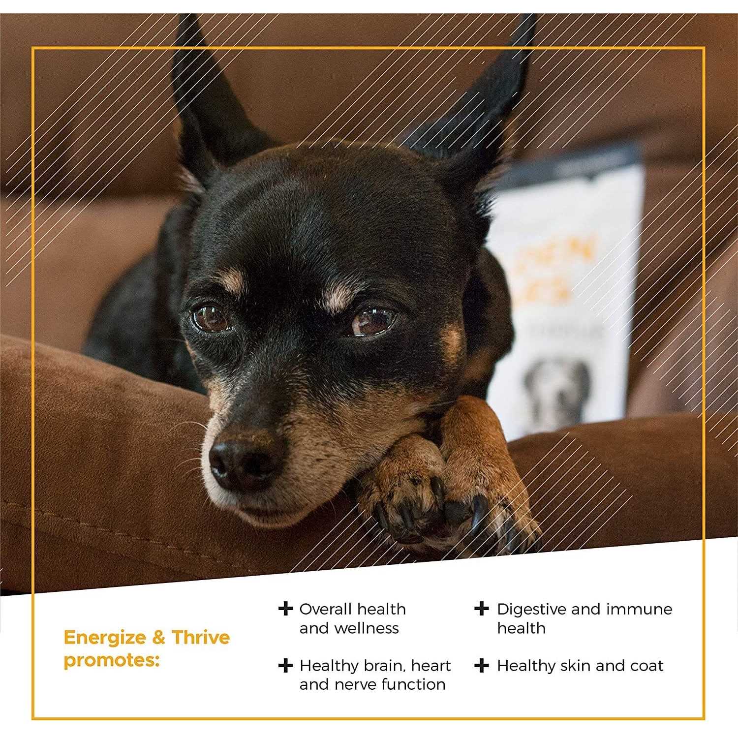 VetriScience Golden Years Energize and Thrive Multivitamin for Senior Dogs