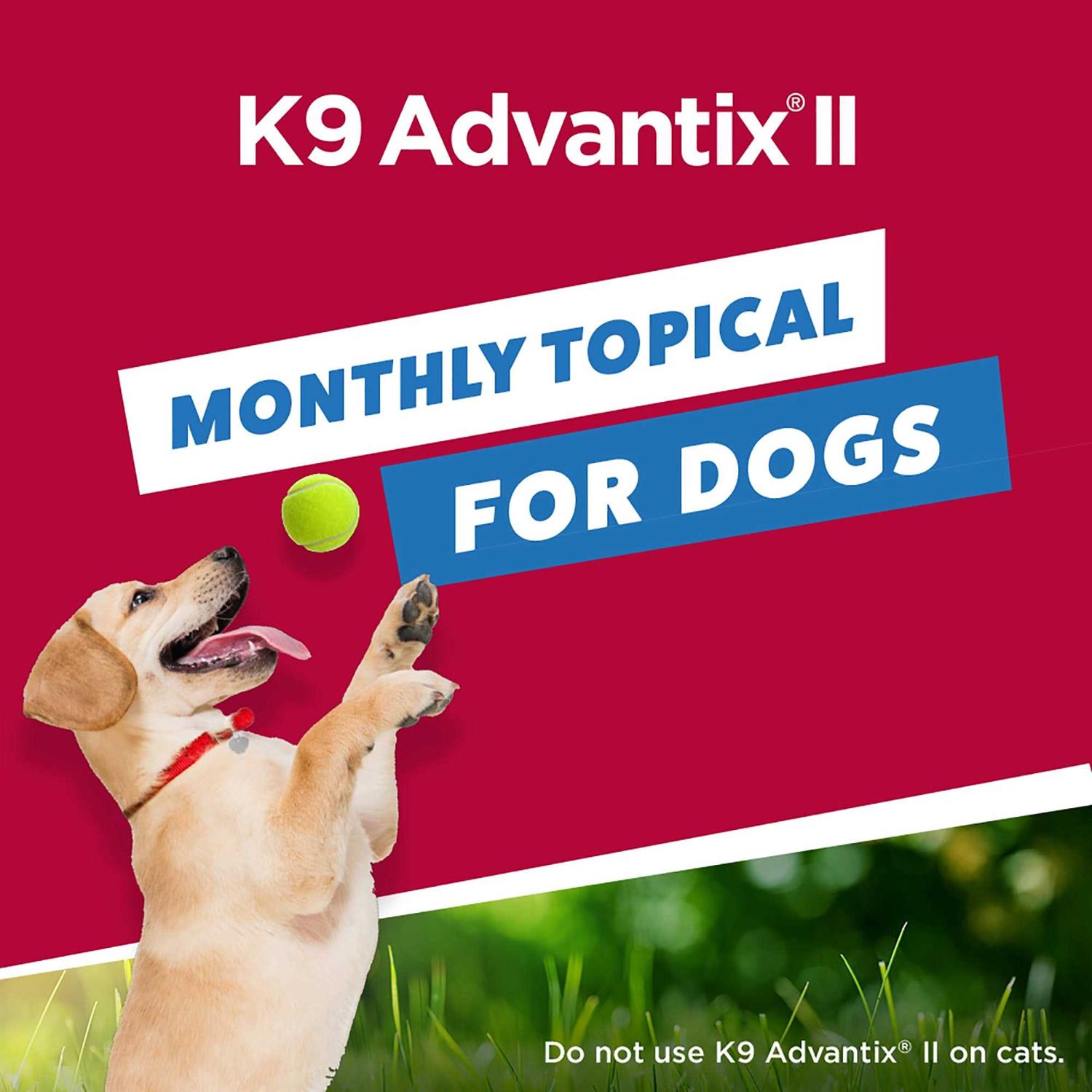 Bayer K9 Advantix II for Extra Large Dogs