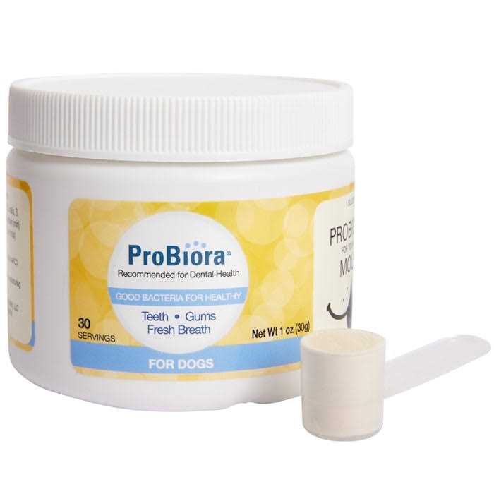 Probiora Probiotics for Your Dog’s Mouth