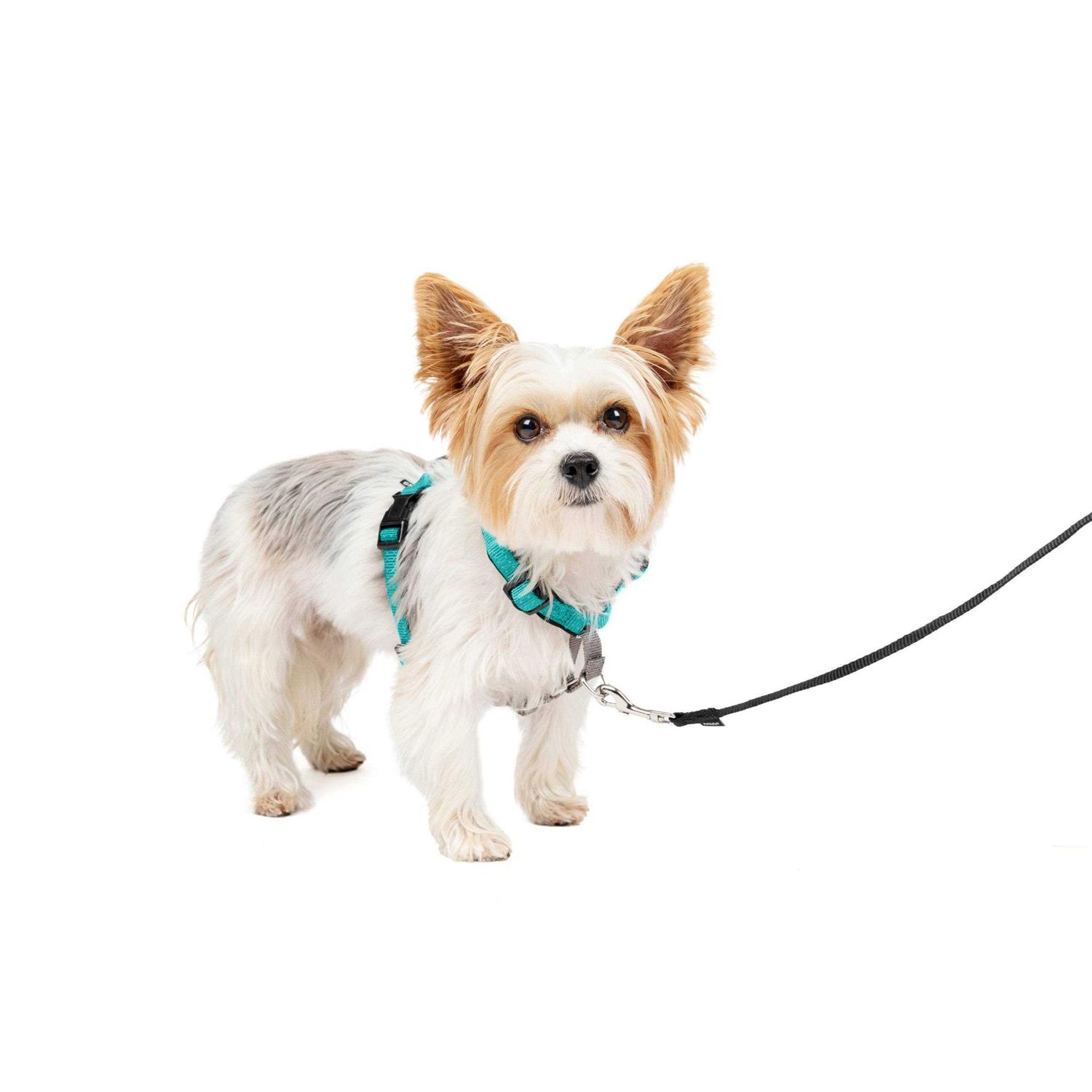 PetSafe 3 in 1 Harness