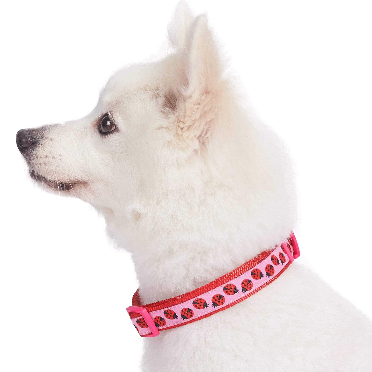 Blueberry Pet Dog Collar