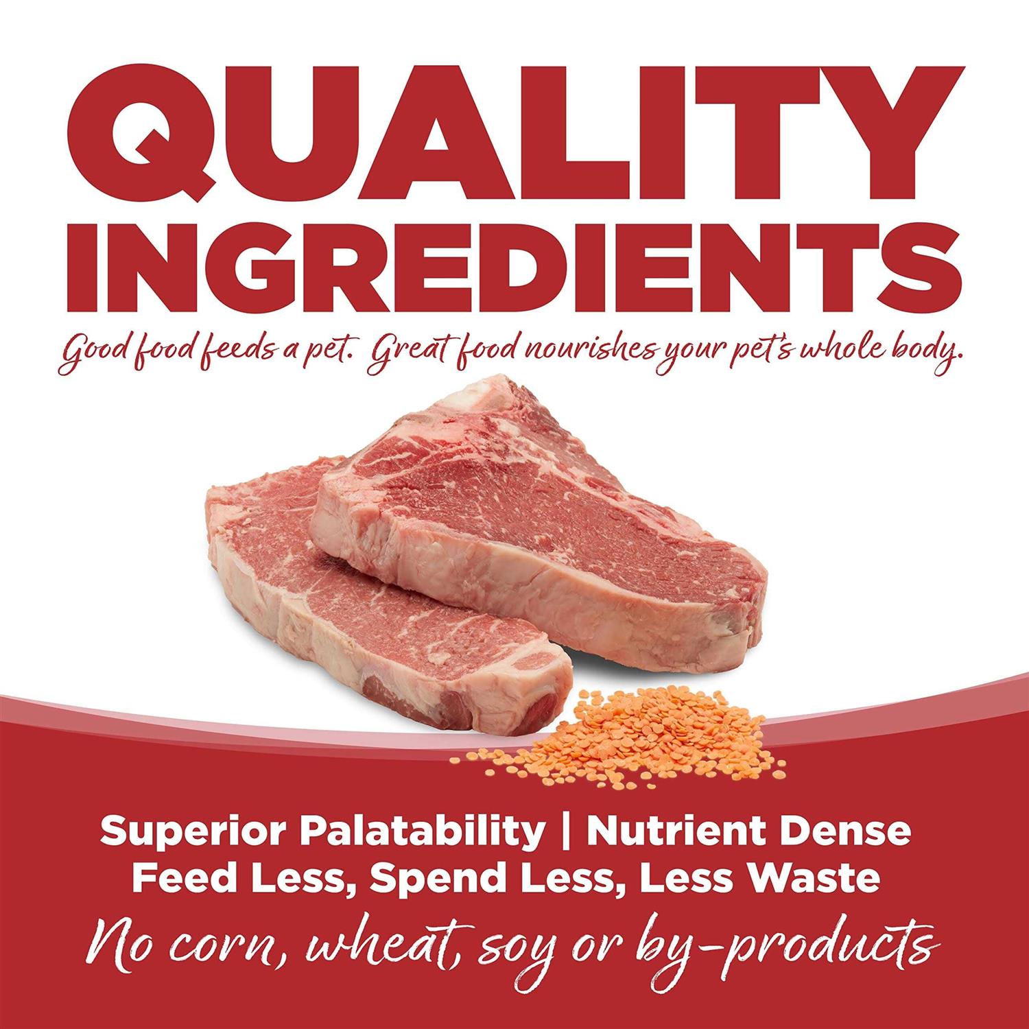 PureVita Beef & Red Lentils Grain Free Dry Dog Food