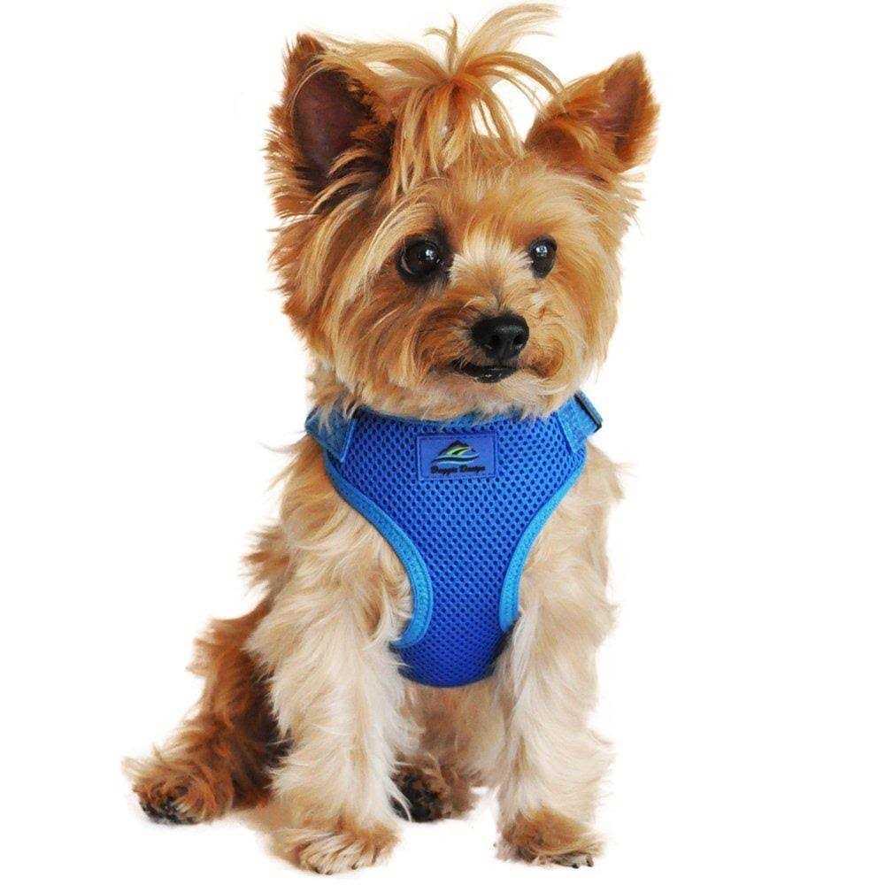 Doggie Design Wrap and Snap Choke Free Dog Harness