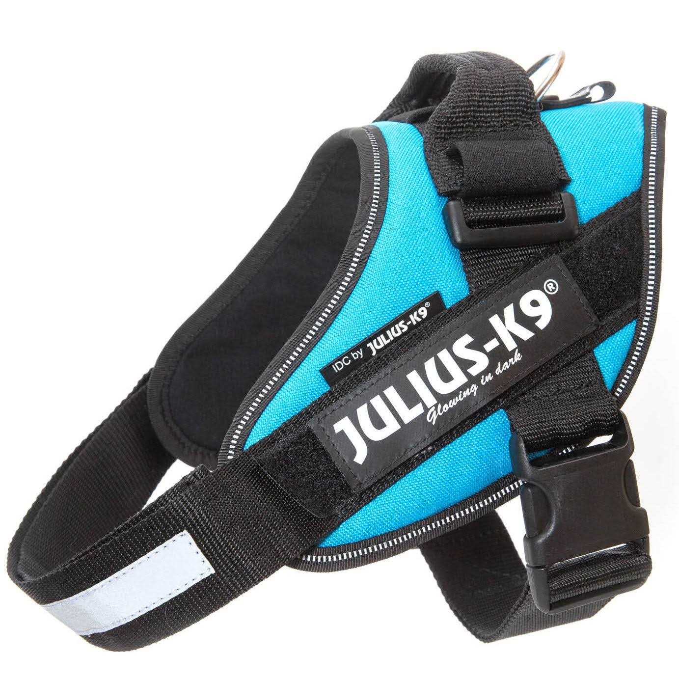 Julius-K9 IDC-Powerharness