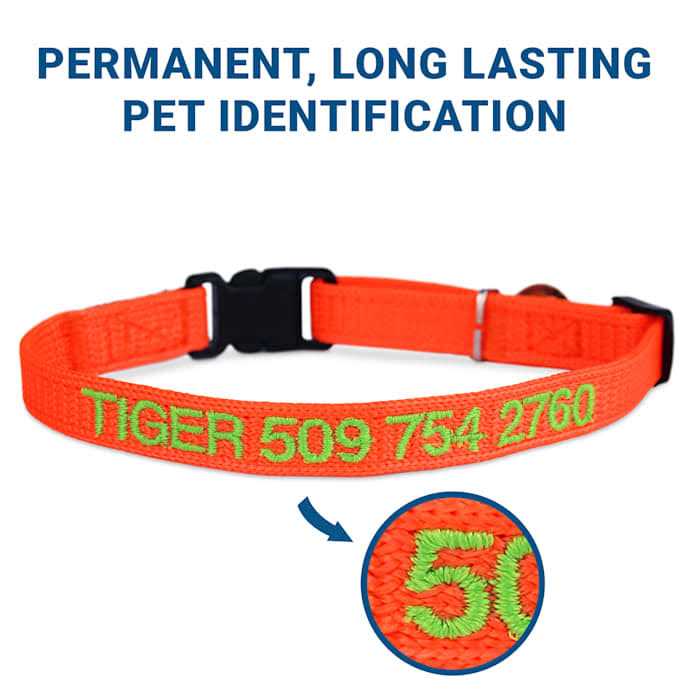 GoTags Nylon Personalized Breakaway Cat Collar with Bell