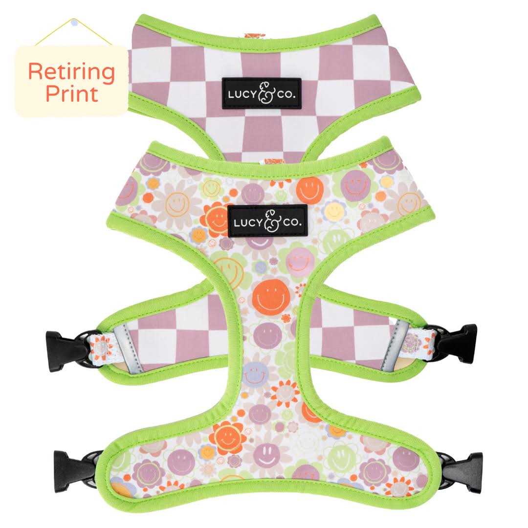 Lucy & Co Reversible Dog Harness