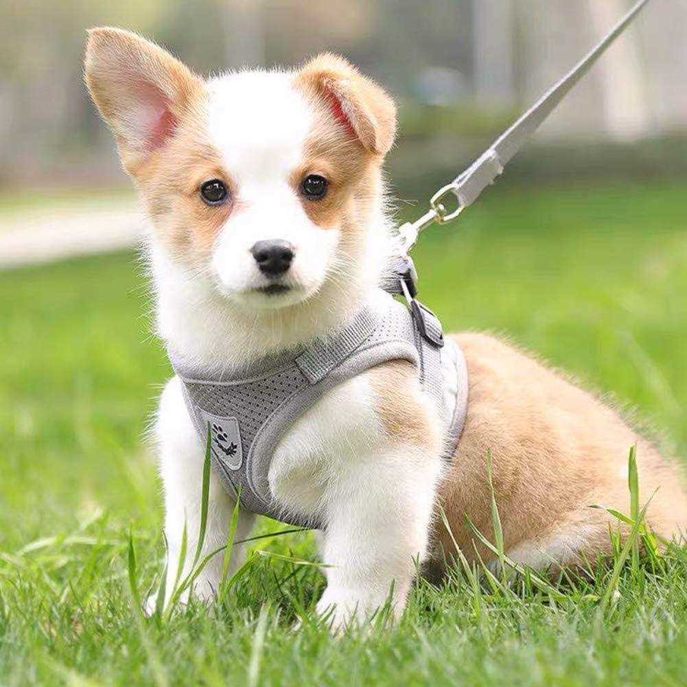 Feimax Dog Harness and Leash Set No-Pull Soft Mesh Vest Reflective Adjustable Pet Harnesses For Small