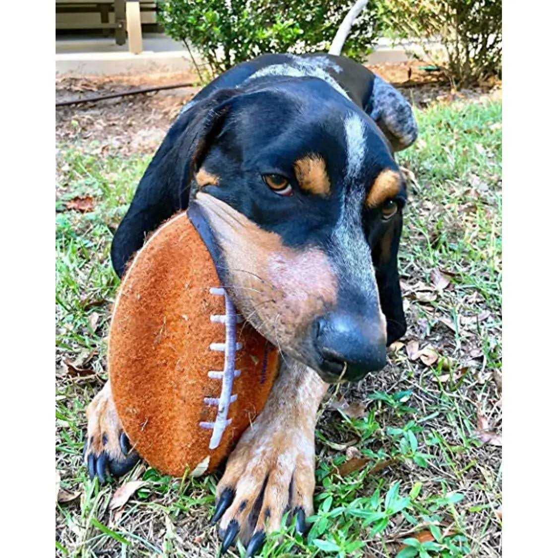 Nylabone Power Play Football Gripz Dog Toy