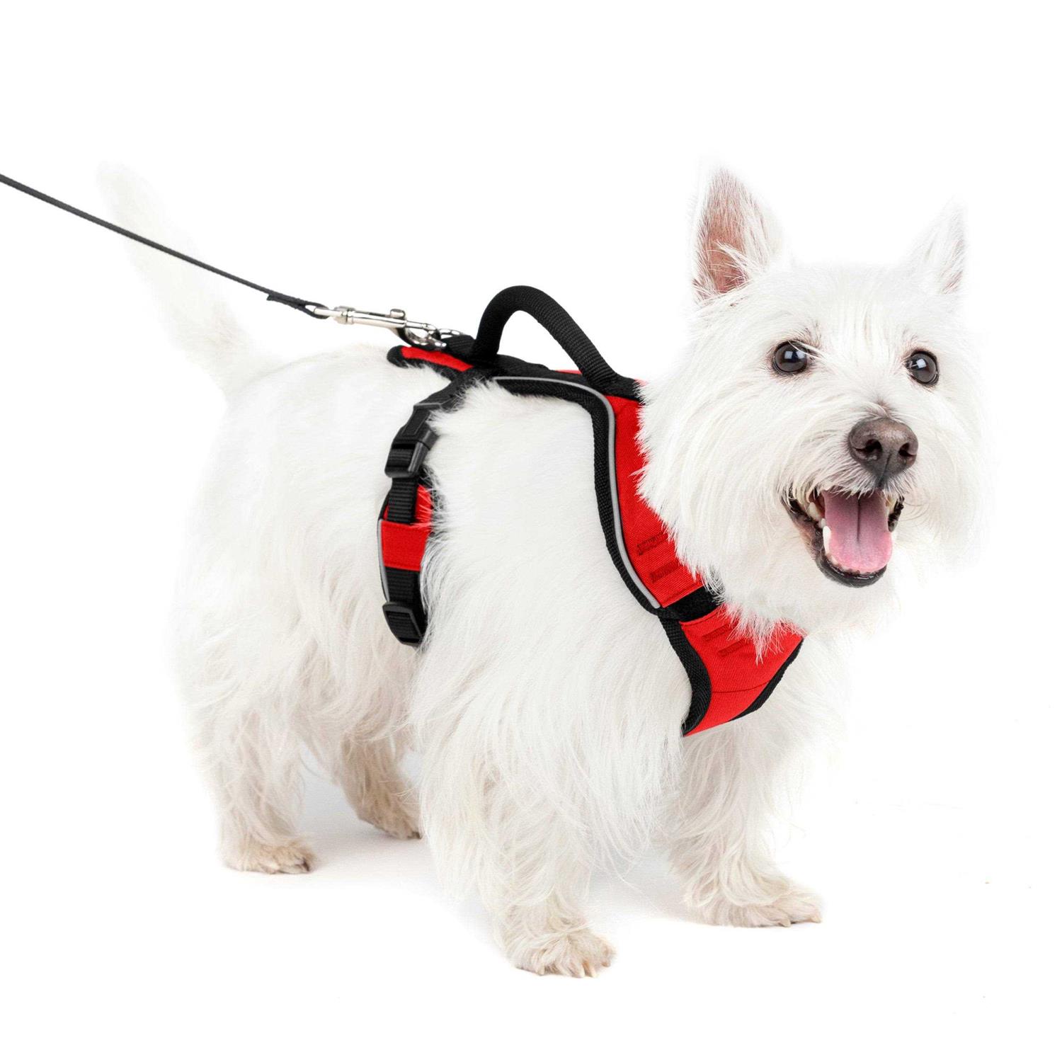 PetSafe EasySport Dog Harness