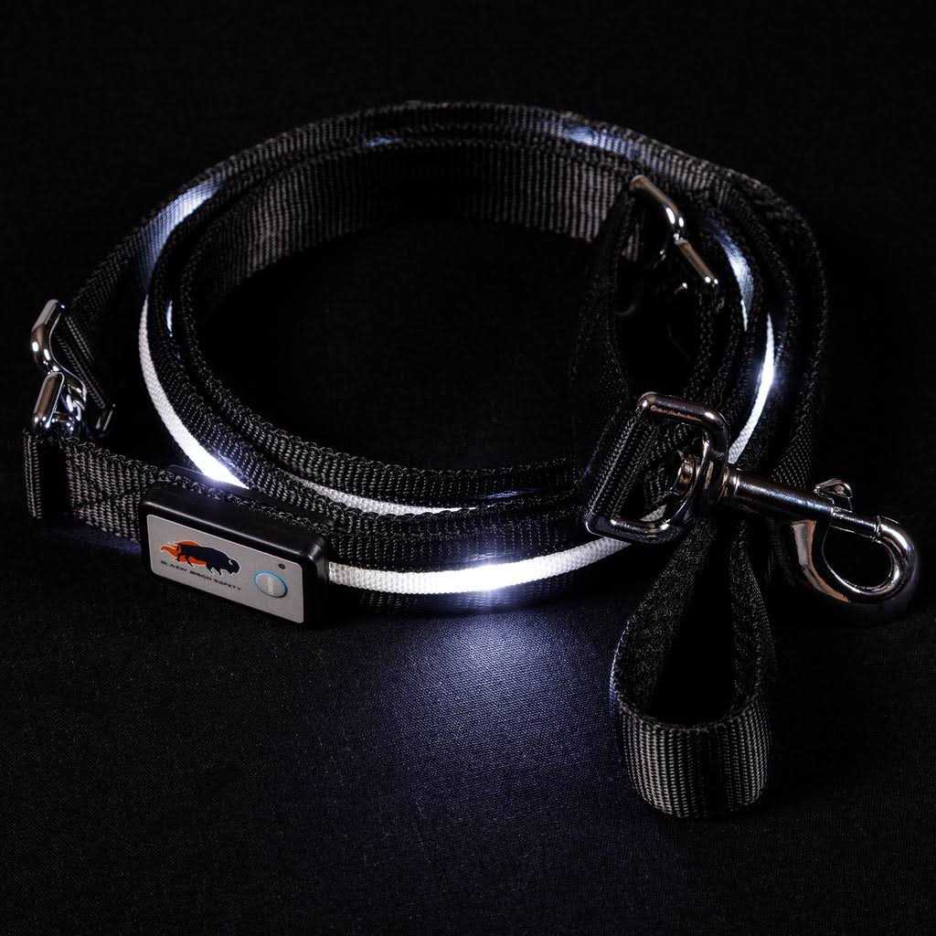 Blazin Safety LED Dog Leash USB Rechargeable Flashing Light