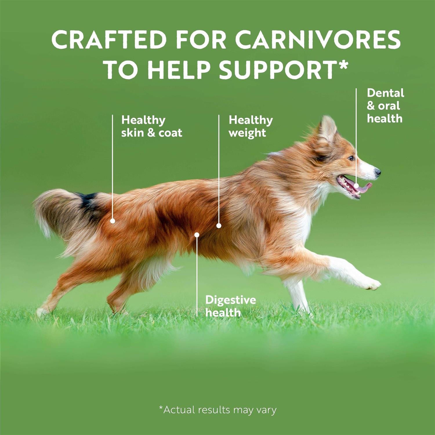 Ziwi Peak Recipe Canned Dog Food