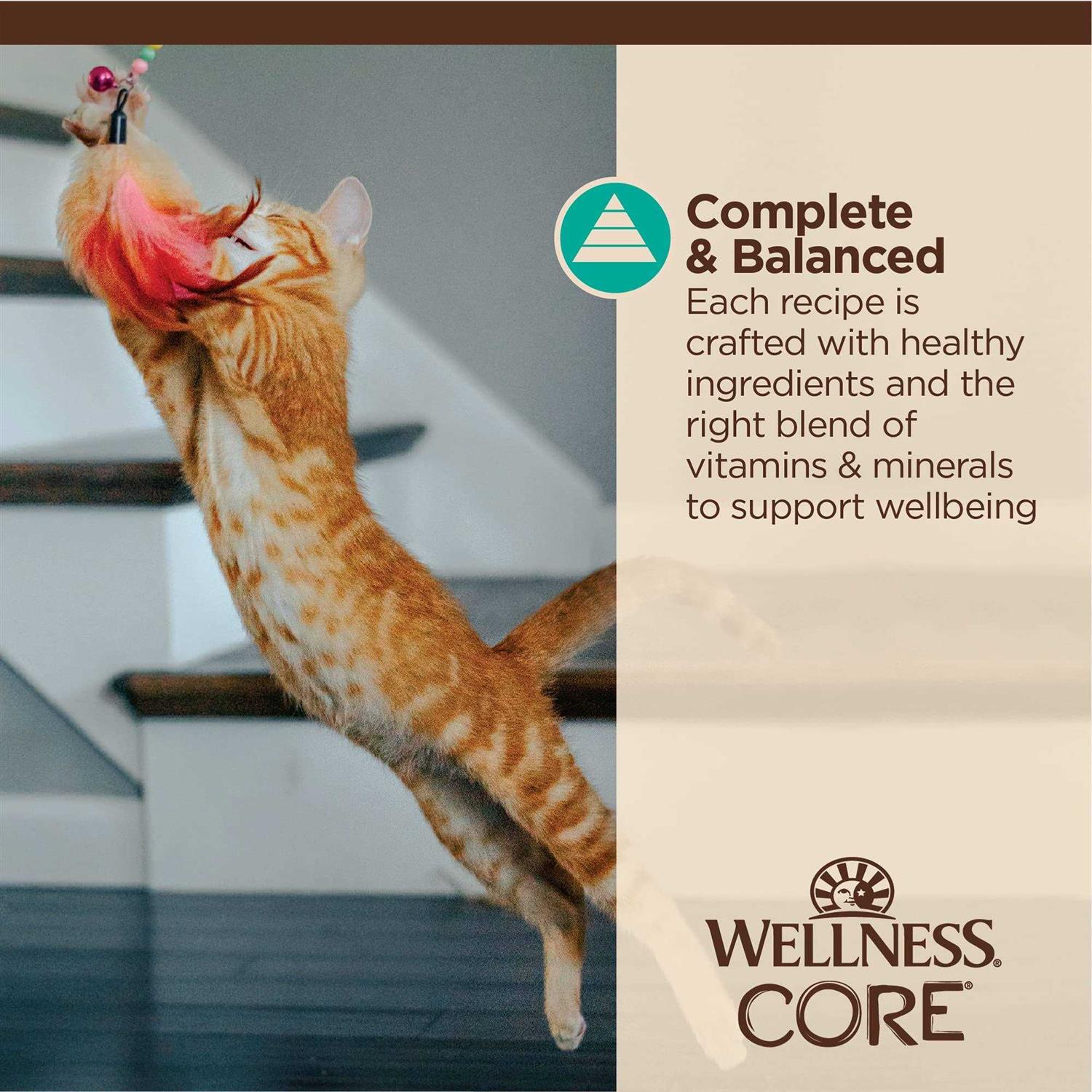 Wellness Core Tiny Tasters Flaked Wet Cat Food