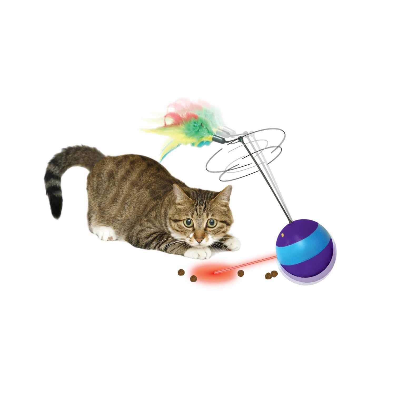 Ethical Spin About Motorized Cat Ball