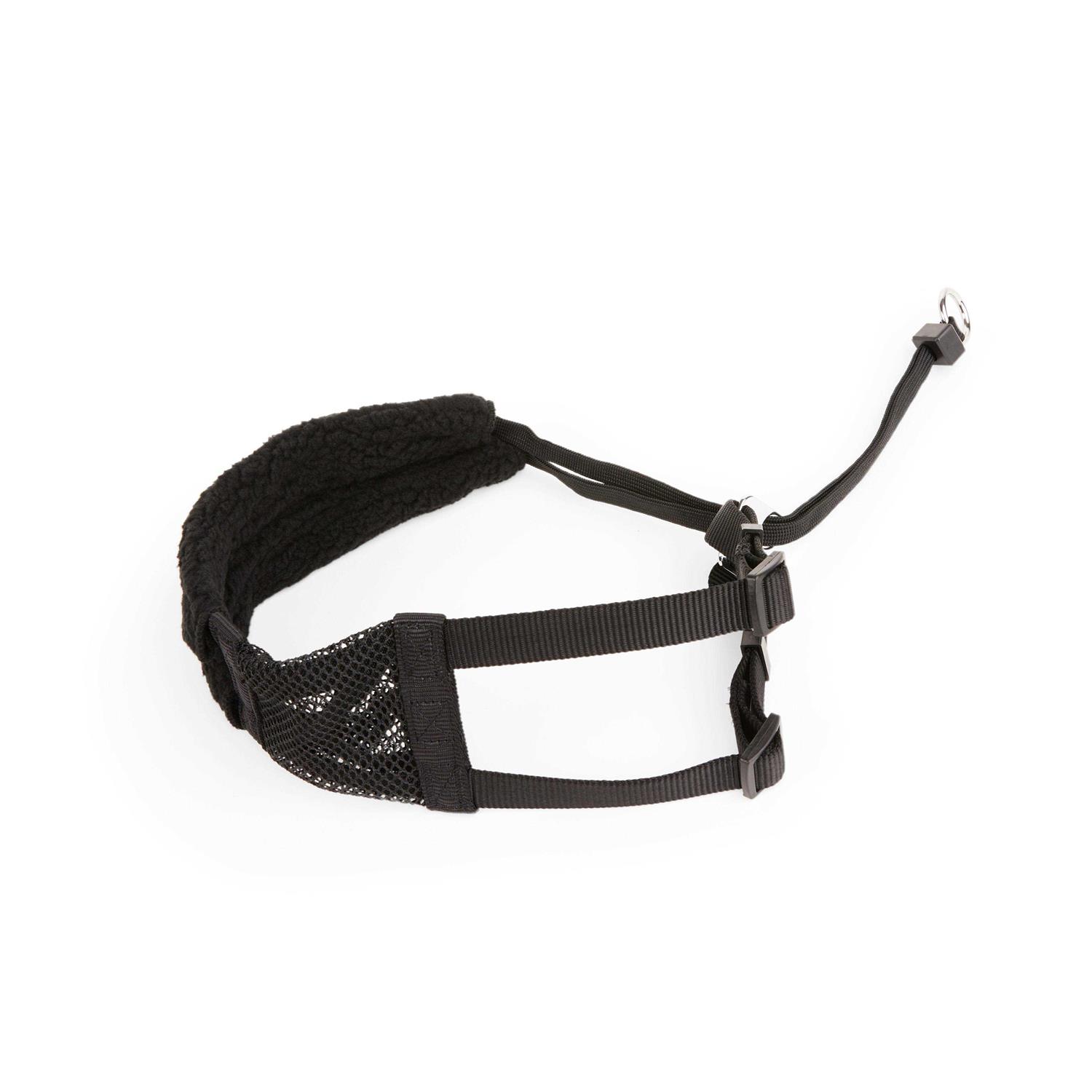 EveryYay Embrace The Pace Black No Pull Dog Harness