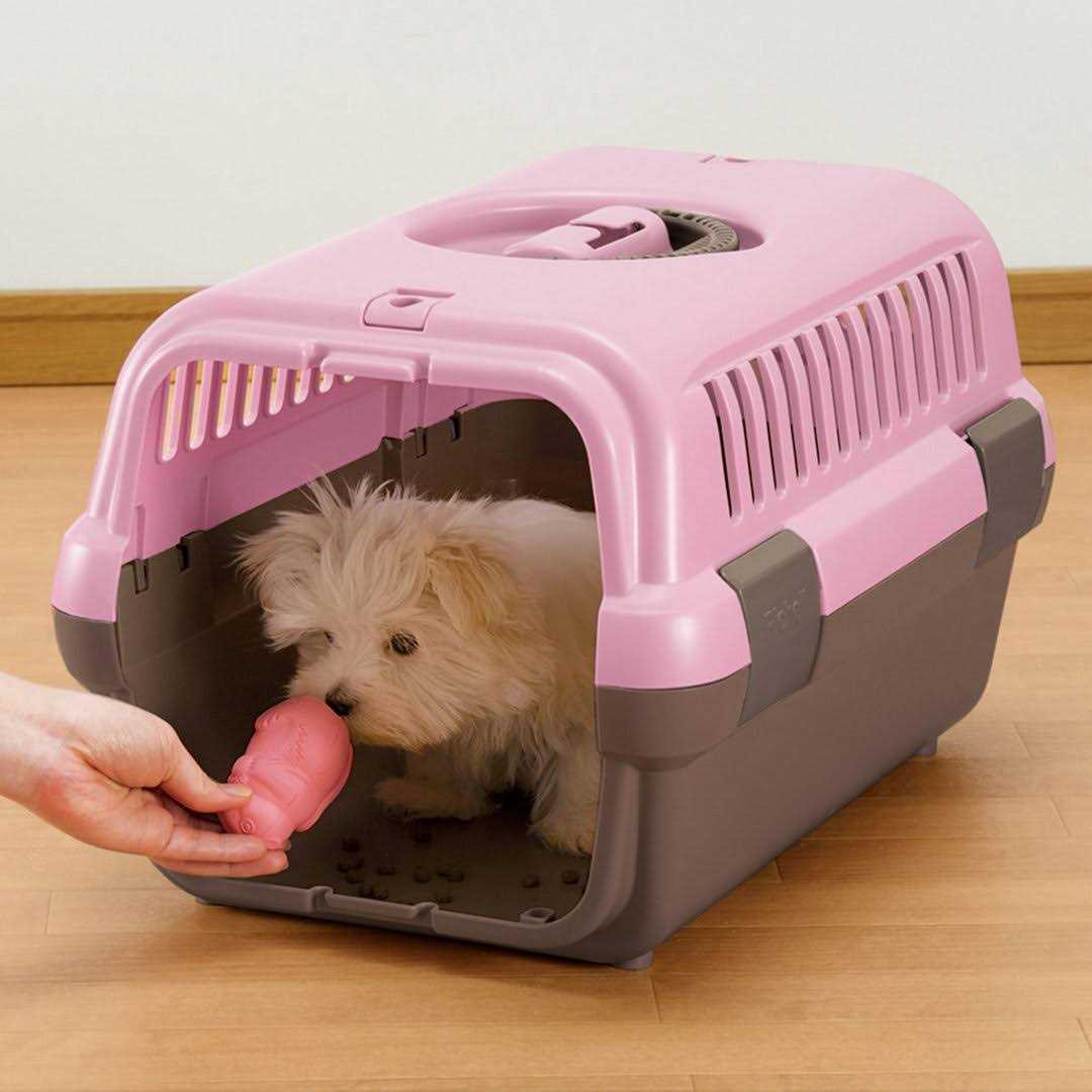 Richell Pet Travel Carrier