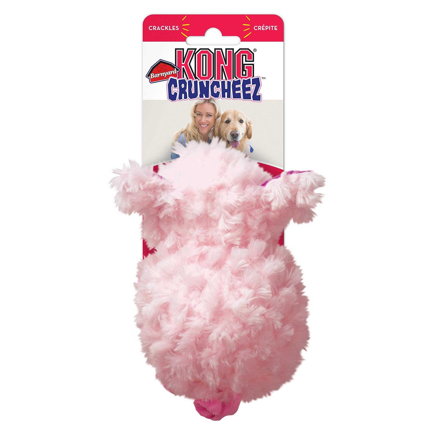 Kong Barnyard Cruncheez Pig Dog Toy