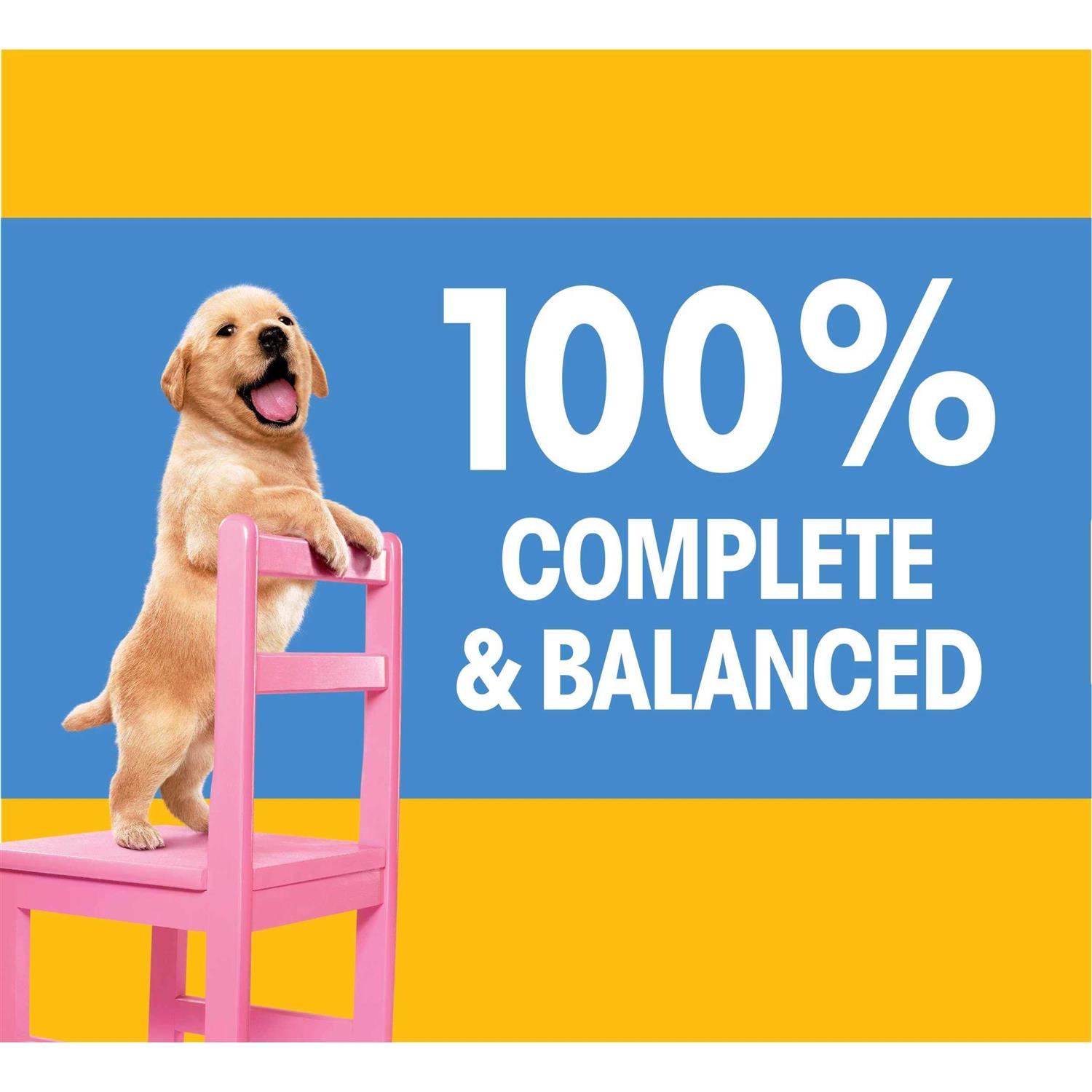 Pedigree Puppy Growth & Protection Dry Dog Food Chicken & Vegetable Flavor