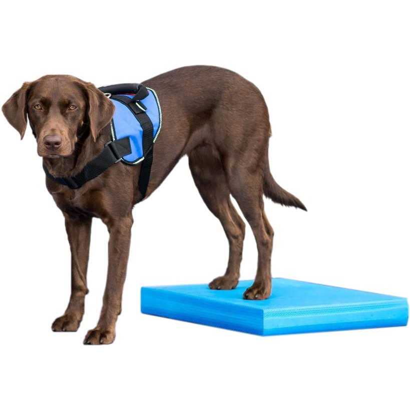 Balance Pad FitPAWS