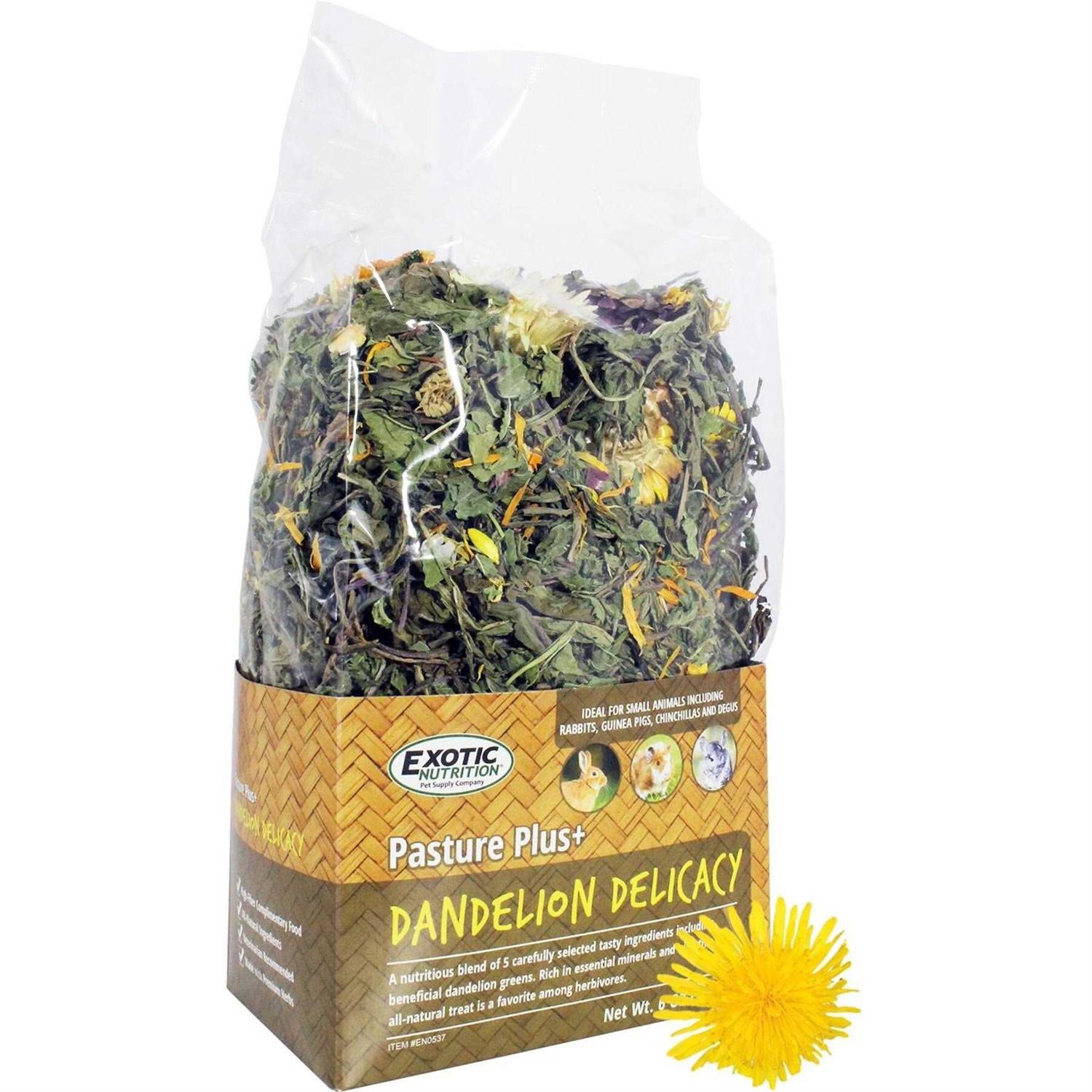 Exotic Nutrition Pasture Plus+ Dandelion Delicacy