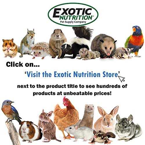 Exotic Nutrition Silent Runner Wheel 12