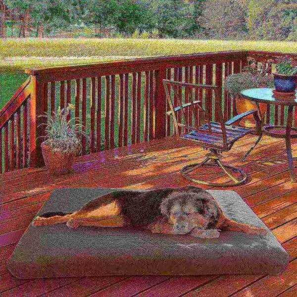 Pet Adobe Waterproof Indoor/Outdoor Memory Foam Pet Bed