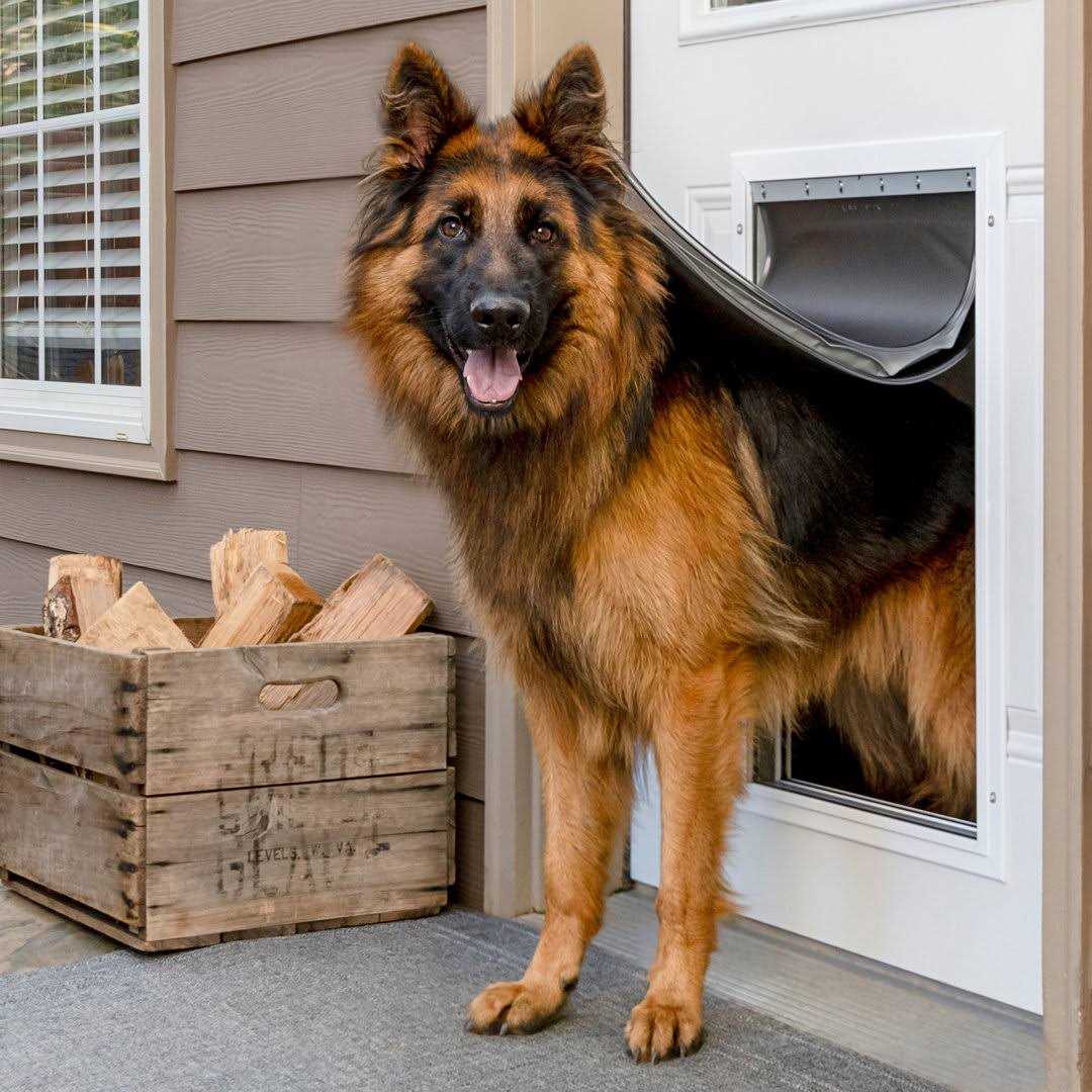 Extreme Weather Aluminum Pet Door PetSafe