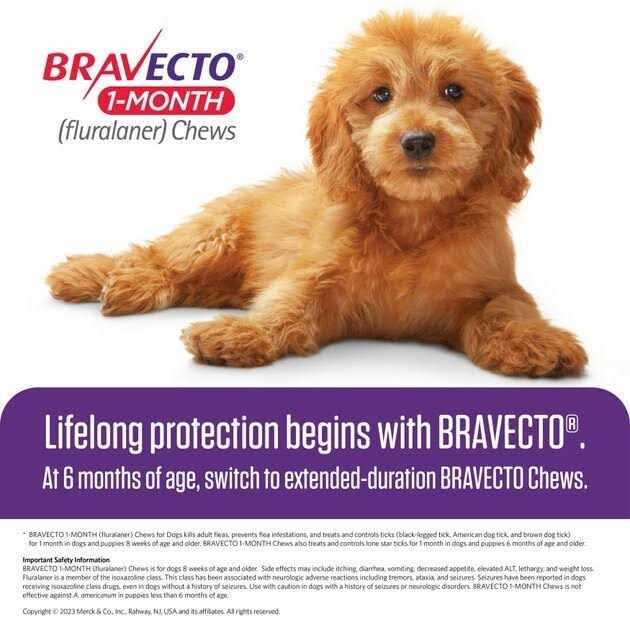 Bravecto 1-Month Chews for Dogs 22-44 lbs