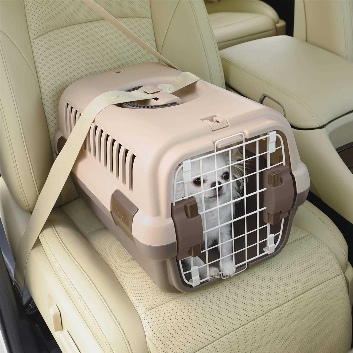 Richell Pet Travel Carrier