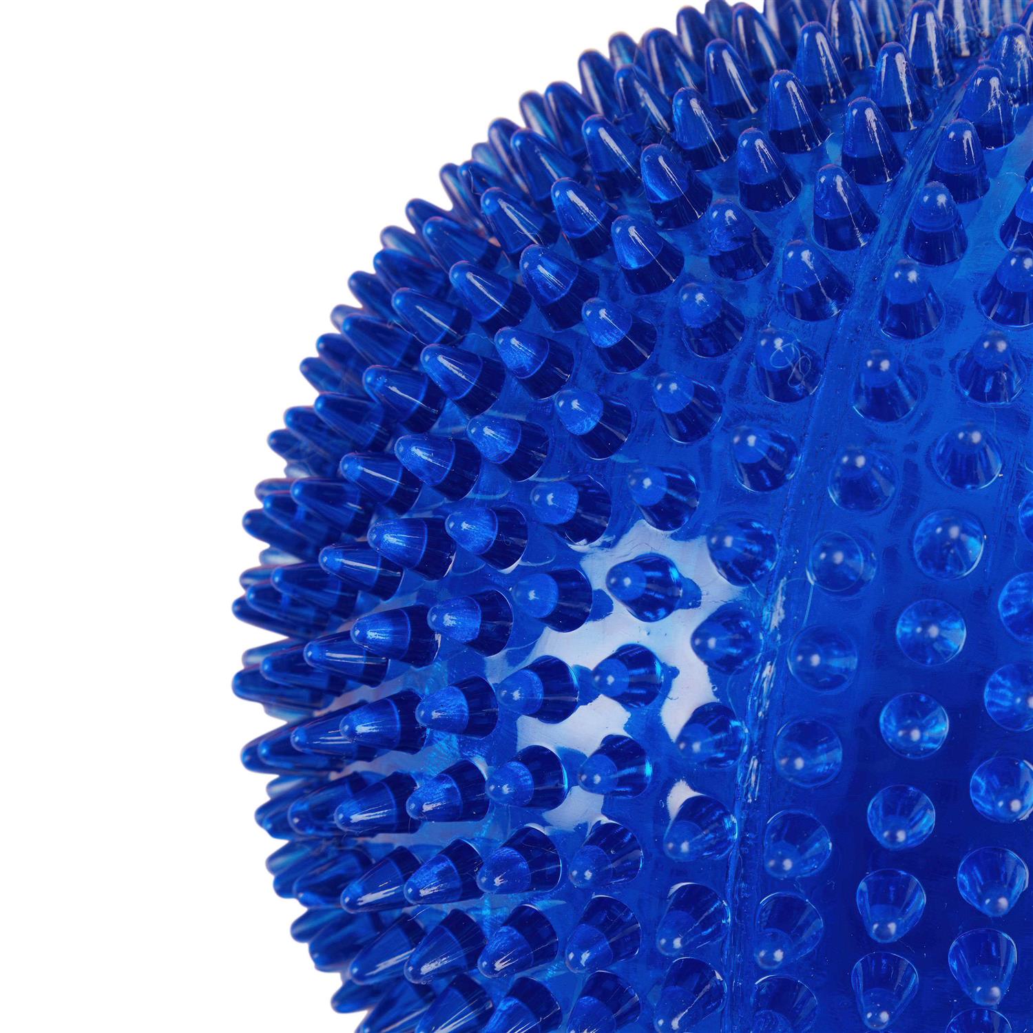 Leaps & Bounds Spiny Ball Dog Chew Toy