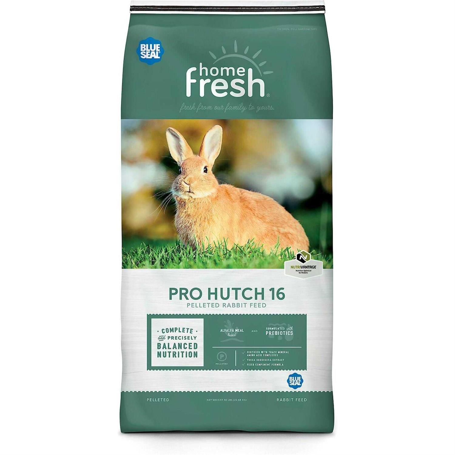Blue Seal Home Fresh Pro Hutch 16 Rabbit