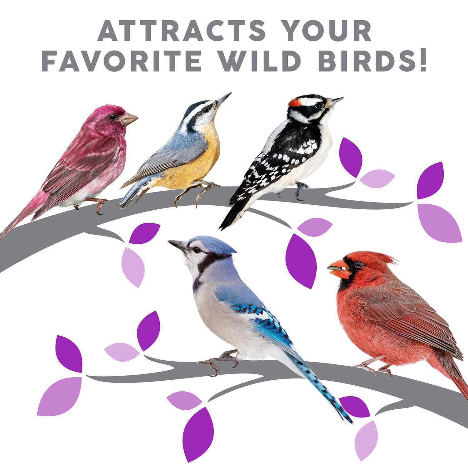 Harvest Seed & Supply Birder’s Medley Wild Bird Food