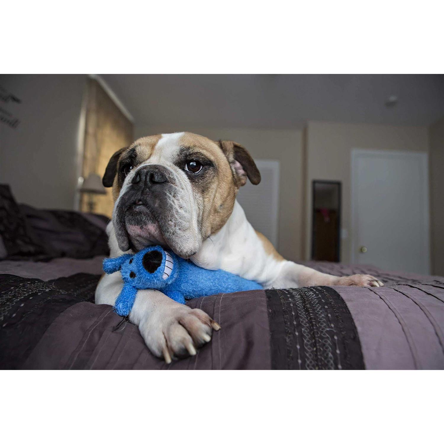 Multipet 24 Loofa Jumbo Dog Toy