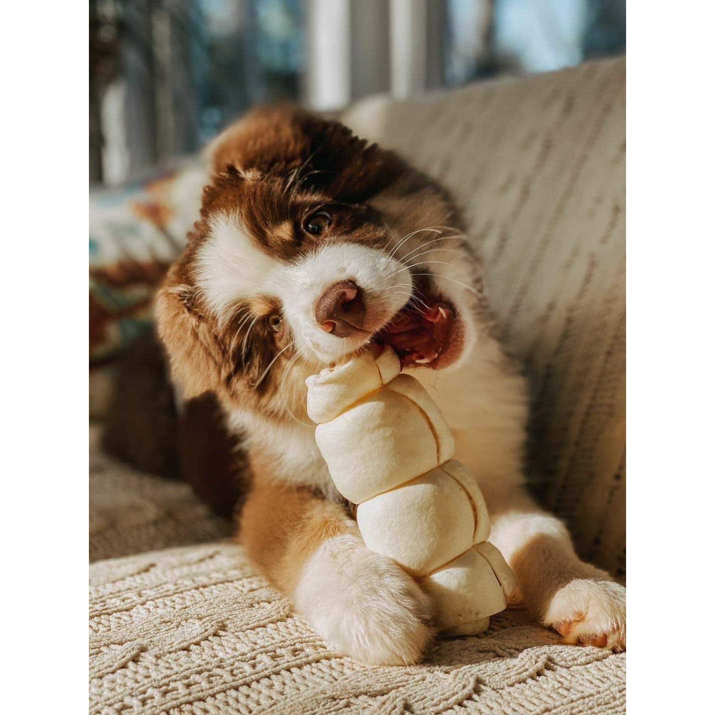 Redbarn Beef Cheek Roll Dog Large