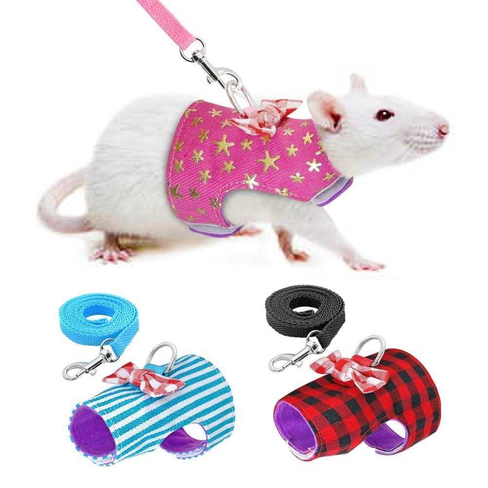 Stock Show Small Pet Outdoor Walking Harness Vest and Leash Set with Cute Bowknot Decor Chest Strap Harness for Rat Ferret Hamster Squirrel Clothes