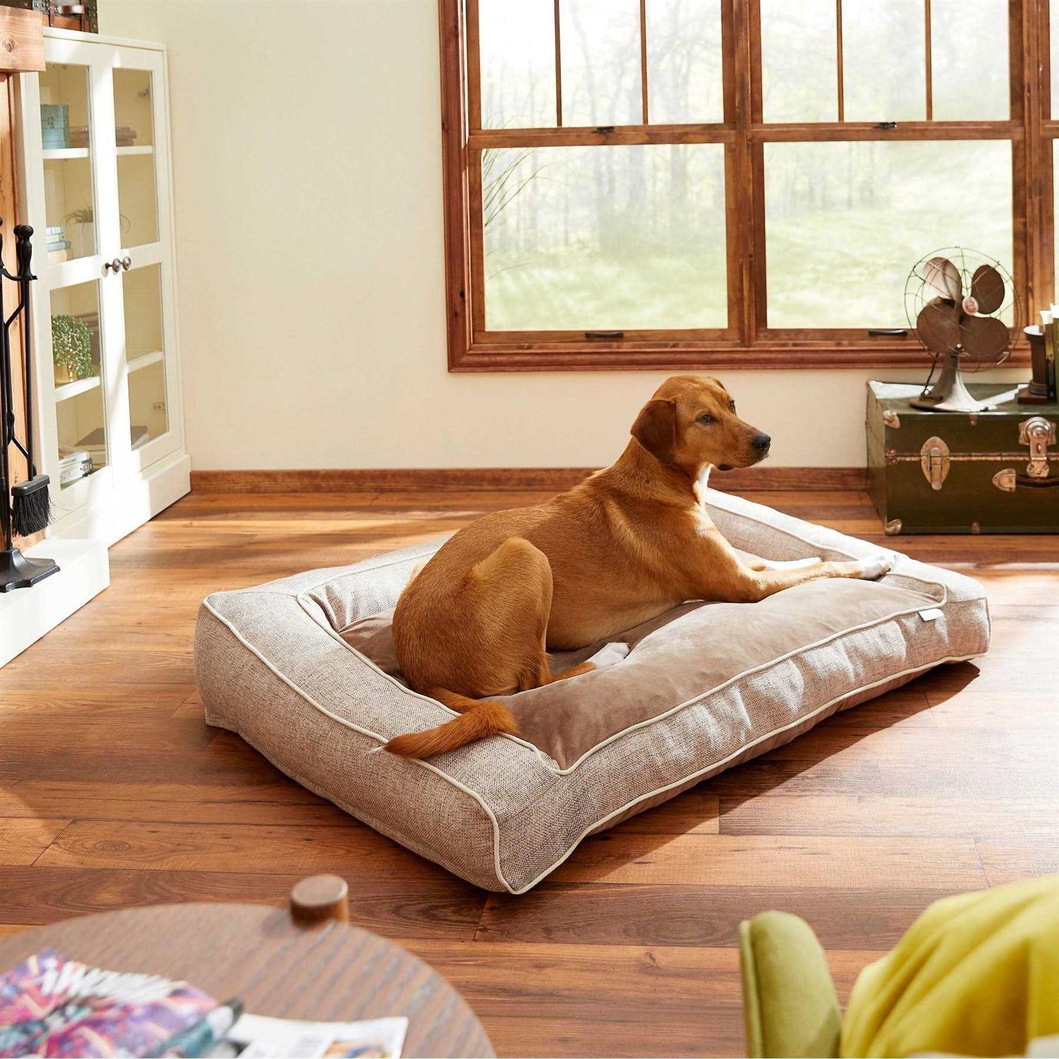 Frisco Orthopedic Bolster Dog Bed w/Removable COVER