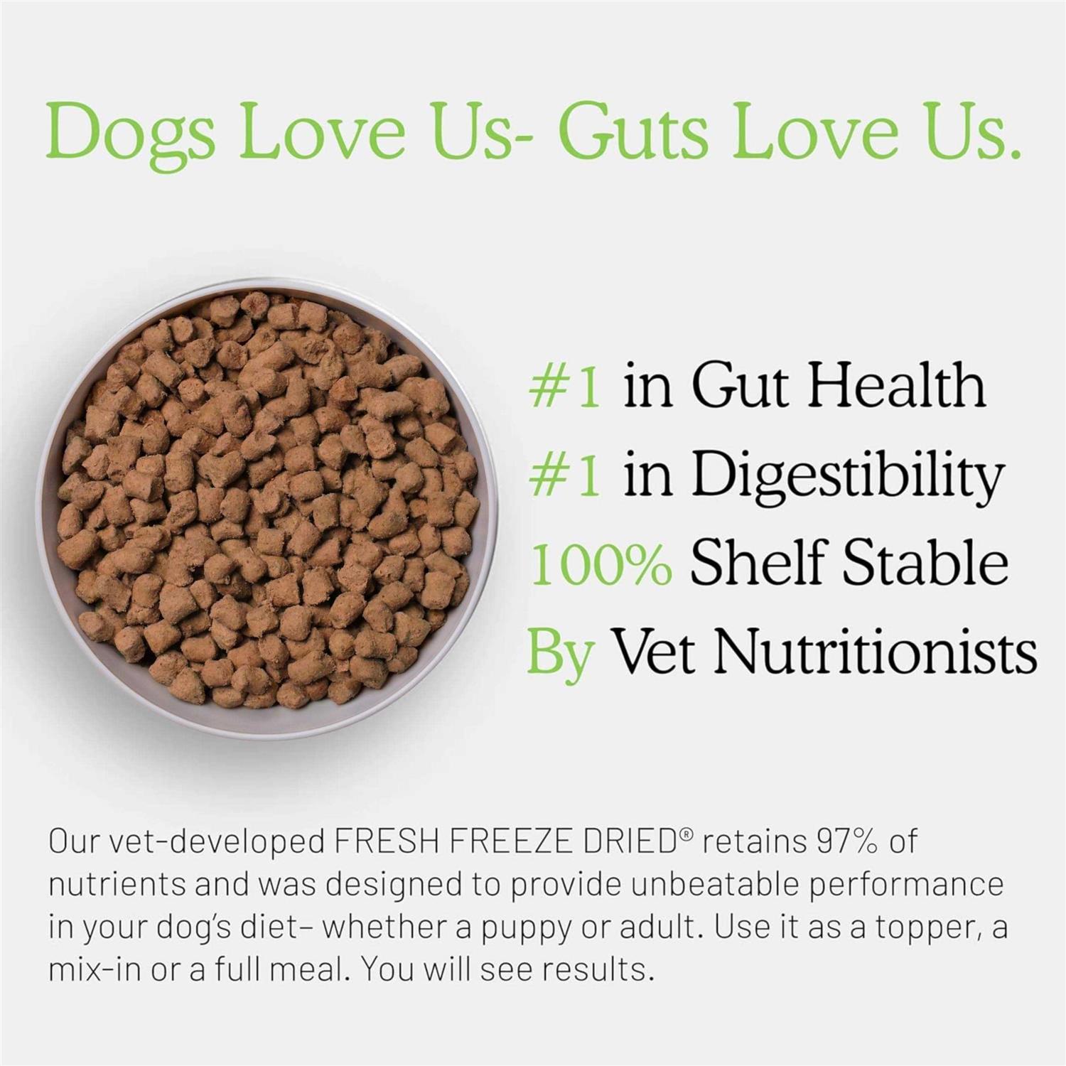 Get Joy Gut Health Fresh Freeze Dried Raw Meal, Beef Recipe Bag, Dog Food for Dogs of All Breeds and Life Stages