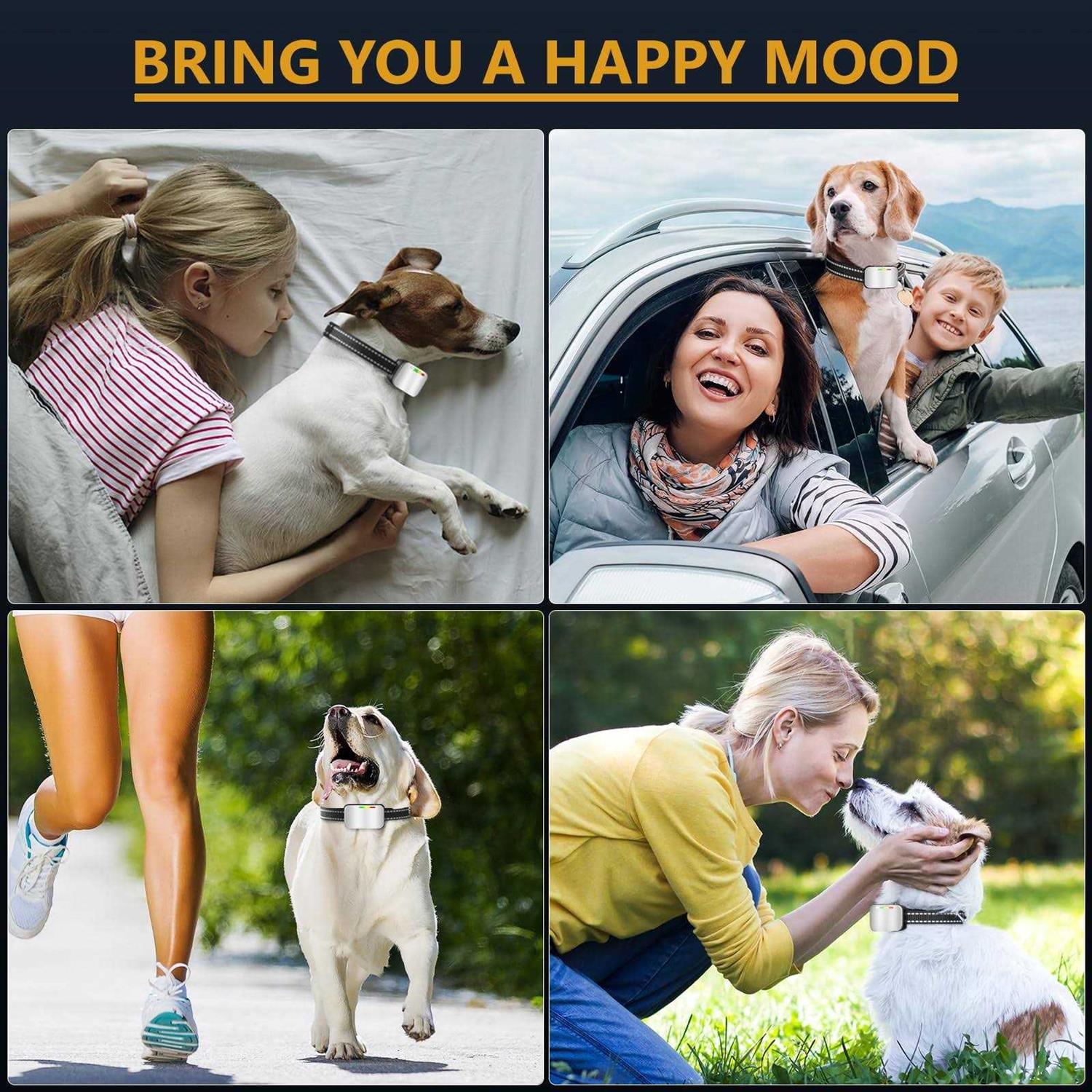 Bark Collar 2 Pack Rechargeable Dog Bark Collar for Large Medium Small Dogs Training Collar for Dogs with 4 Adjustable Sensitivity Dog Barking